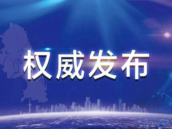 国家发展改革委关于2020年    光伏发电上网电价政策有关事项的通知 